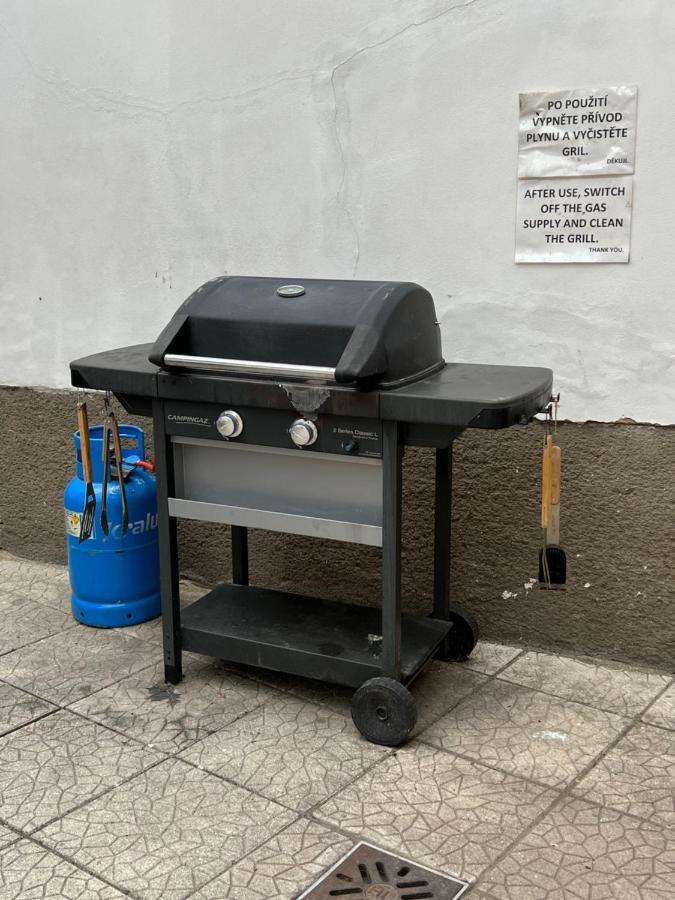 דירות לוני Cely Dum V Historickem Centru Loun מראה חיצוני תמונה